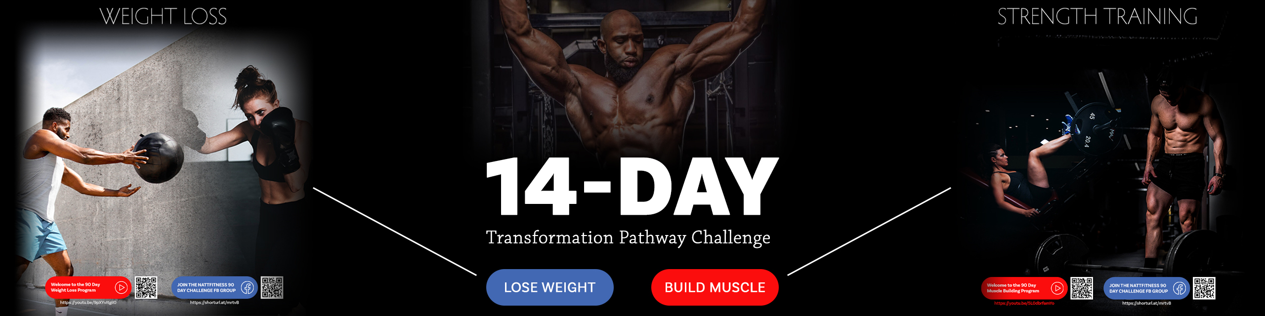 14-day-transformation-cover